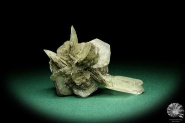 Gypsum XX (20014) a mineral from Germany | Minerals | From Germany