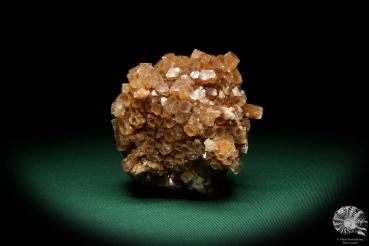 Aragonit XX (20023) ein Mineral aus Marokko | Mineralien | Weltweit