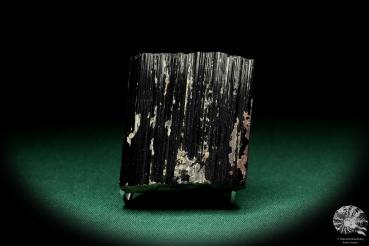 Black Tourmaline XX a mineral