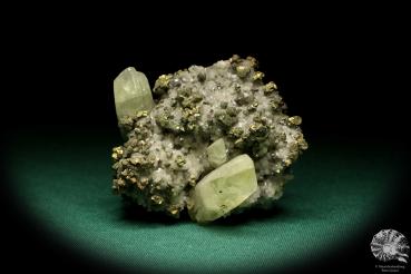 Calcite XX and Chalcopyrite XX on Ankerite XX (20042) a mineral from USA | Minerals | Global