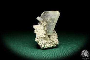 Baryte XX (20112) a mineral from USA | Minerals | Global