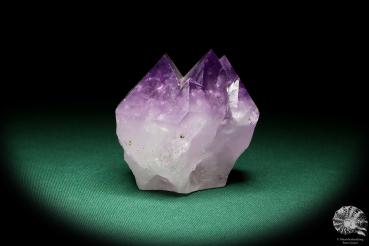 Amethyste XX (20119) a mineral from South America | Minerals | Global