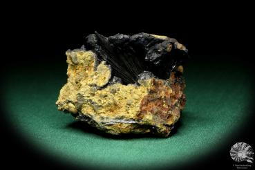 Vivianite XX (20123) a mineral from Ukraine | Minerals | Global