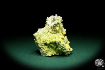 Sulphur XX and Celestine XX (20149) a mineral from Poland | Minerals | Global