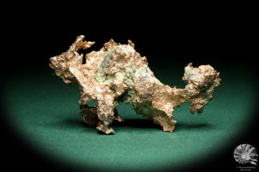 Gediegenes Kupfer (20156) ein Mineral aus USA | Mineralien | Weltweit