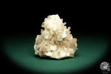 Quartz XX & Paradoxite XX (20157) a mineral from Germany | Minerals | From Germany