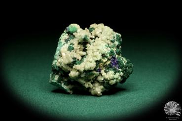 Cerussite XX with Malachite and Azurite XX (20165) a mineral from Namibia | Minerals | Global