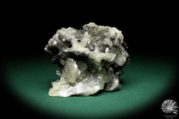 Anglesit XX (20175) ein Mineral aus Marokko | Mineralien | Weltweit