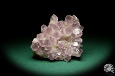 Amethyst XX (20199) ein Mineral aus Afrika | Mineralien | Weltweit