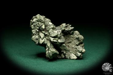 Markasit XX (20221) ein Mineral aus Tschechien | Mineralien | Weltweit