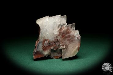 Baryte XX on hematite (20244) a mineral from Great Britain | Minerals | Global