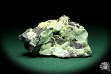 Wavellite XX (20250) a mineral from USA | Minerals | Global