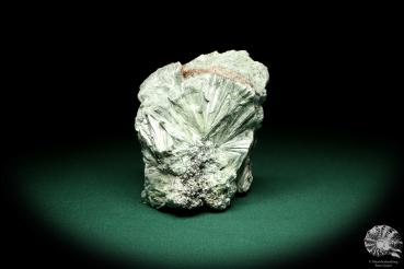 Klinochlor (20251) ein Mineral aus Russland | Mineralien | Weltweit