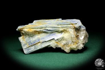 Kyanite (20261) a mineral from South America | Minerals | Global