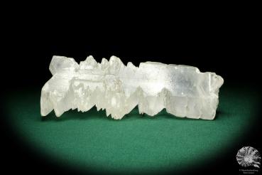 Gypsum XX (20266) a mineral from Mexico | Minerals | Global