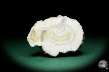 Agate (20270) a mineral from Czech Republic | Minerals | Global