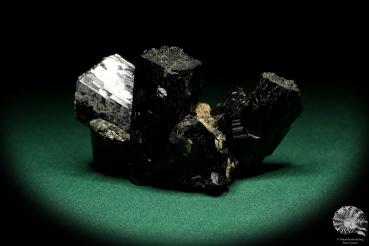 Black Tourmaline XX (20277) a mineral from Namibia | Minerals | Global