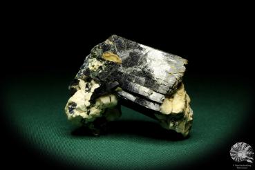 Aegirin XX (20281) ein Mineral aus Afrika | Mineralien | Weltweit