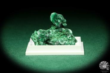 Malachite XX (20478) a thumbnail from DR Congo | Minerals | Thumbnails