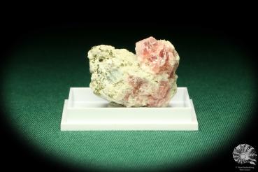 Rhodochrosit XX & Pyrit XX (20494) eine Kleinstufe aus Peru | Mineralien | Kleinstufen