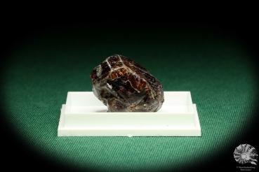 Zircon XX (20583) a thumbnail from Tanzania | Minerals | Thumbnails