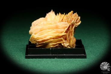 Vanadinite XX on Baryte (20613) a thumbnail from Morocco | Minerals | Thumbnails