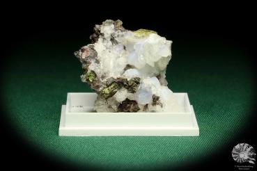 Fluorapatite XX (20632) a thumbnail from Mexico | Minerals | Thumbnails