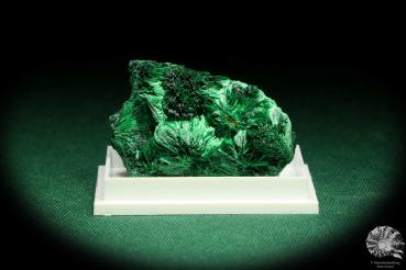 Malachite XX (20662) a thumbnail from DR Congo | Minerals | Thumbnails