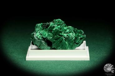 Malachite XX (20663) a thumbnail from see pictures | Minerals | Thumbnails