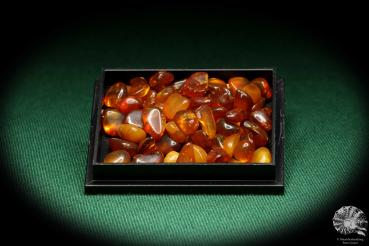 Amber (20736) a thumbnail from Baltic States | Minerals | Thumbnails