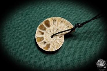 Ammonitida ssp. (2263) a gem from fossils from East Africa | Nature jewelry | From Fossils