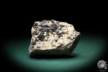 Magnetite XX (3261) a mineral from Bolivia | Minerals | Global