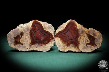 Agate (3284) a mineral from Germany | Minerals | From Germany