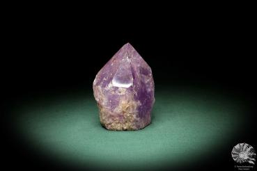 Amethyst XX (3328) ein Mineral aus Südamerika | Mineralien | Weltweit