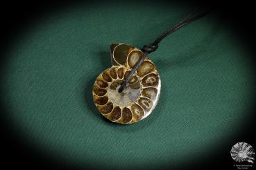 Cleoniceras spec. (4431) a gem from fossils from Madagascar | Nature jewelry | From Fossils