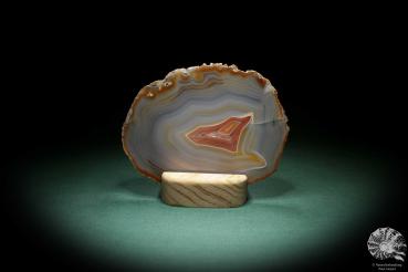 Agate Slice (4567) a mineral from South America | Crafts | From Minerals