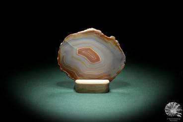 Agate Slice (4568) a mineral from South America | Crafts | From Minerals