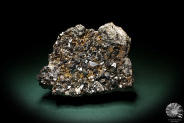 Magnetite XX (4915) a mineral from Bolivia | Minerals | Global