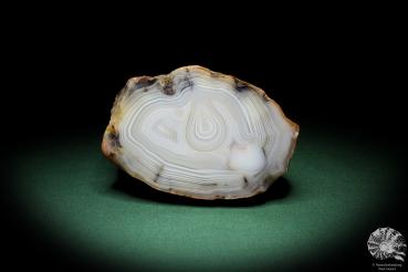 Agate (5439) a mineral from Madagascar | Minerals | Global