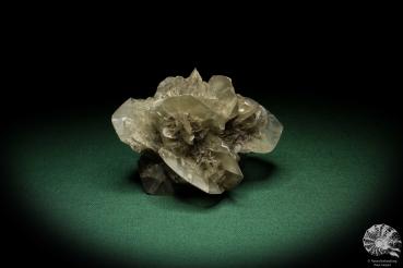 Gypsum XX (5527) a mineral from Germany | Minerals | From Germany