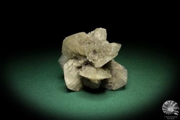 Gypsum XX (5529) a mineral from Germany | Minerals | From Germany