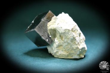 Pyrit XX in Mergelmatrix (600) ein Mineral aus Spanien | Mineralien | Weltweit