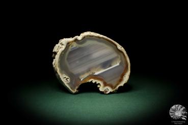 Agate (6893) a mineral from South America | Minerals | Global