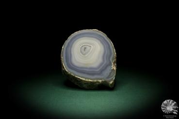 Agate (6895) a mineral from South America | Minerals | Global