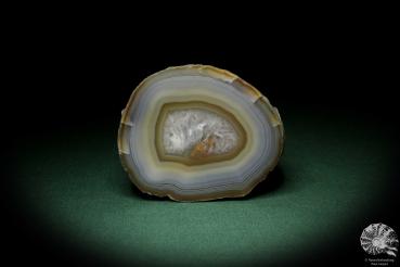 Agate (6904) a mineral from South America | Minerals | Global