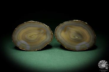 Agate (6948) a mineral from South America | Minerals | Global