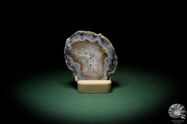 Agate Slice (7032) a mineral from South America | Crafts | From Minerals