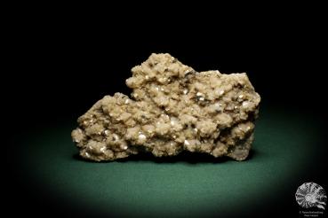 Dolomite XX & Chalcopyrite XX (8155) a mineral from Germany | Minerals | From Germany