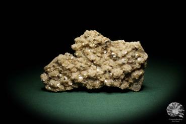 Dolomit XX & Chalkopyrit XX ein Mineral