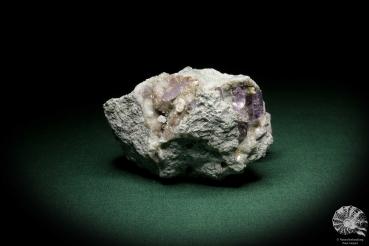 Amethyste XX (8160) a mineral from Italy | Minerals | Global